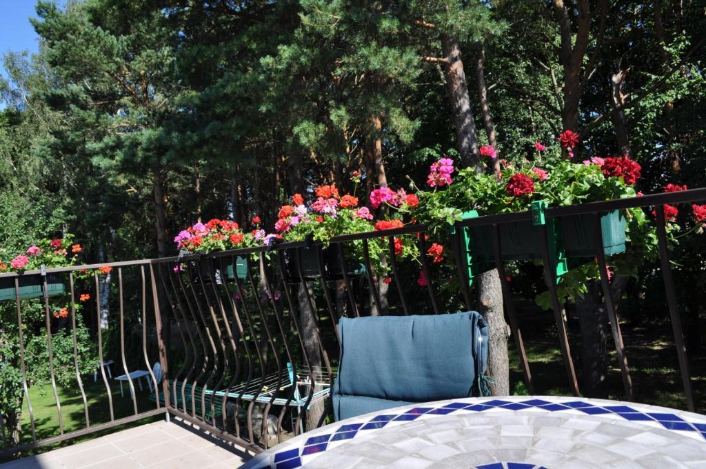 Agava Villa Паланга Екстериор снимка