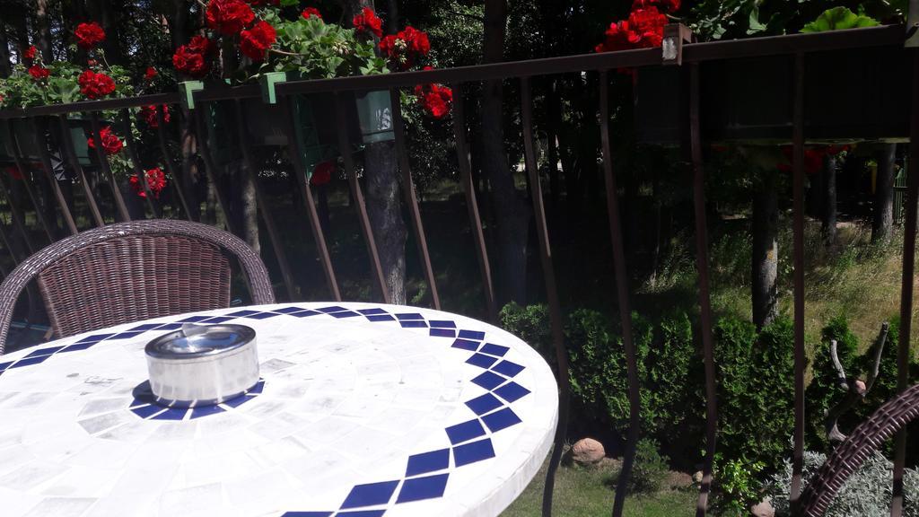 Agava Villa Паланга Екстериор снимка